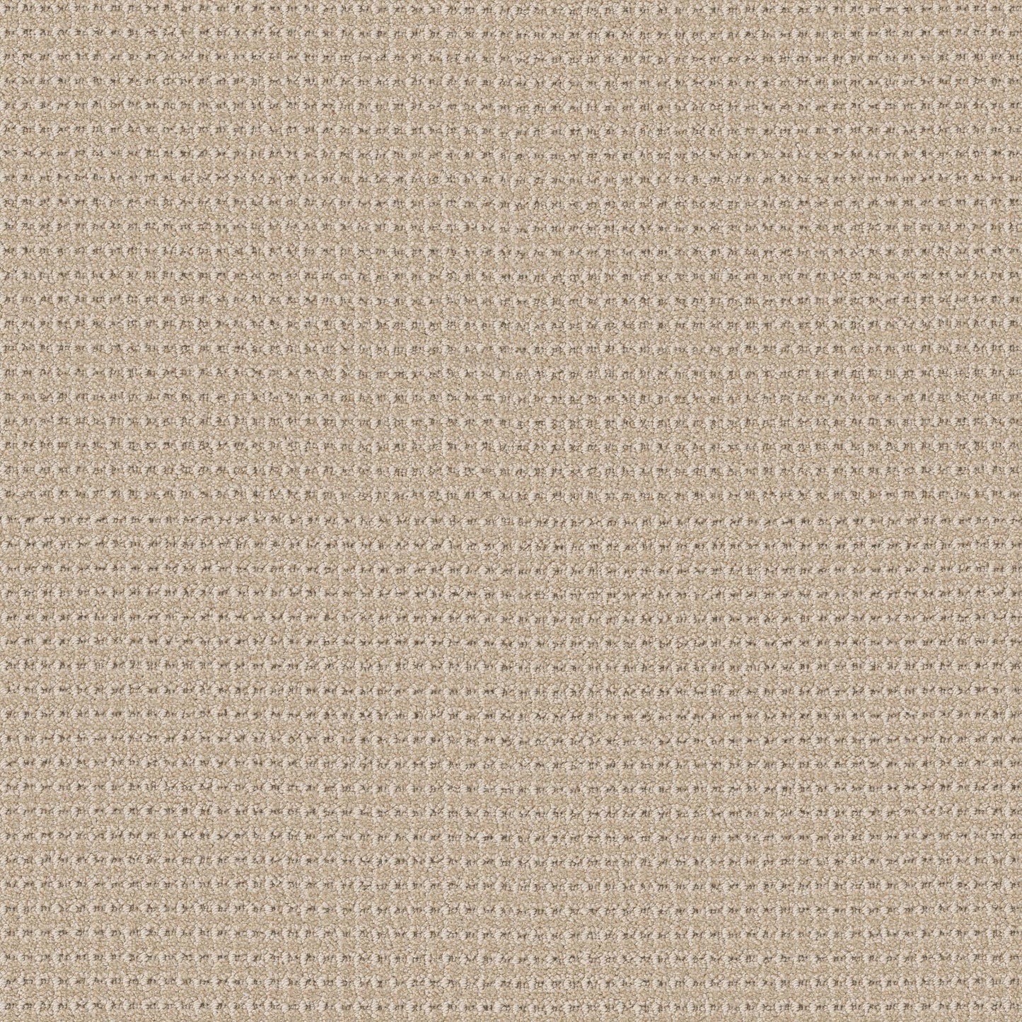 BERBER NYLON LOOP