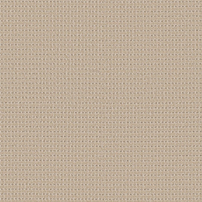 BERBER NYLON LOOP