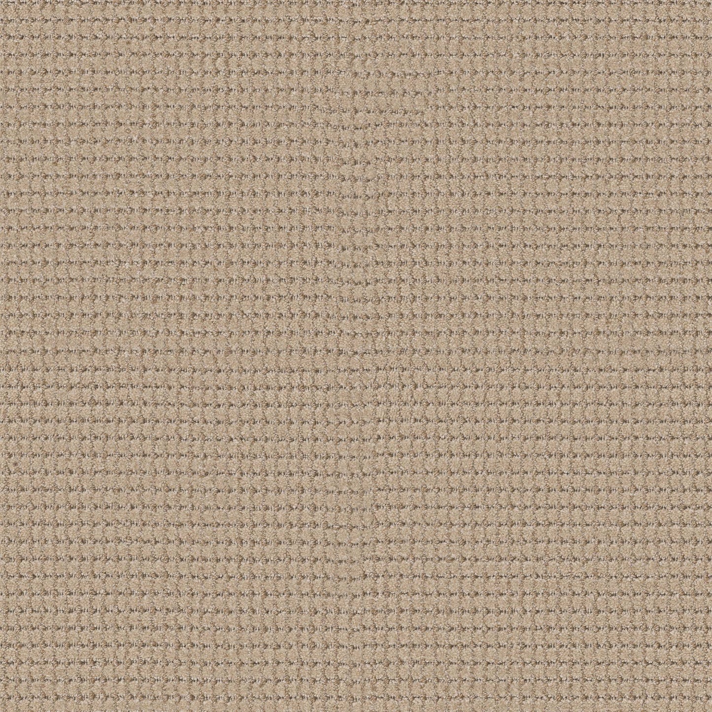 BERBER NYLON LOOP