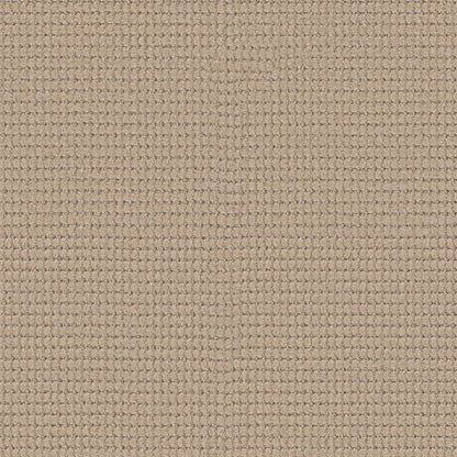 BERBER NYLON LOOP