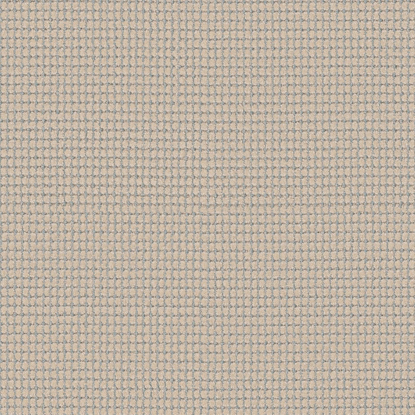 BERBER NYLON LOOP