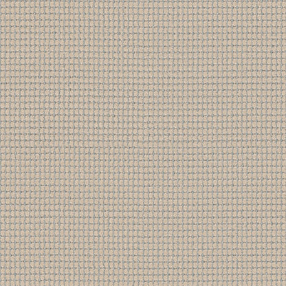 BERBER NYLON LOOP