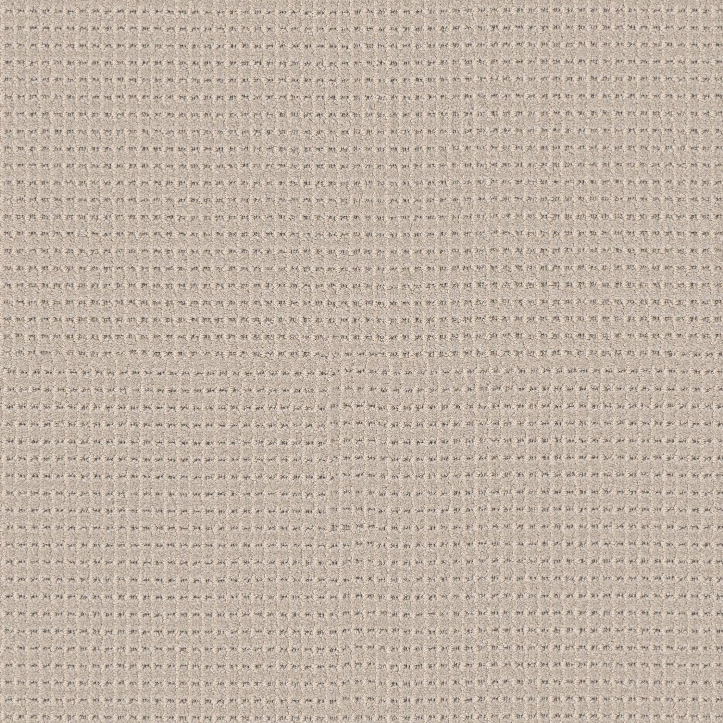 BERBER NYLON LOOP