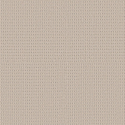 BERBER NYLON LOOP