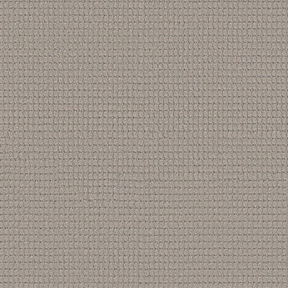 BERBER NYLON LOOP